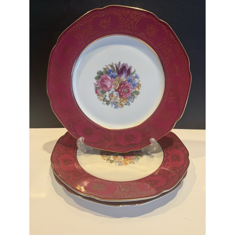 Set of 3 Tirschenreuth Bavaria Germany Floral Dinner Plates Cranberry Gold 10.5"
